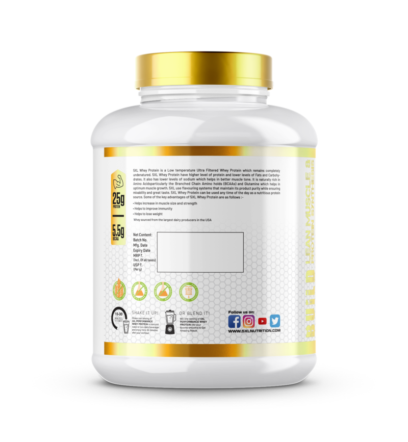 PERFORMANCE WHEY PROTEIN - Image 2