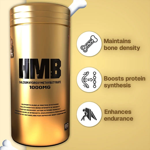 hmb supplement benefits