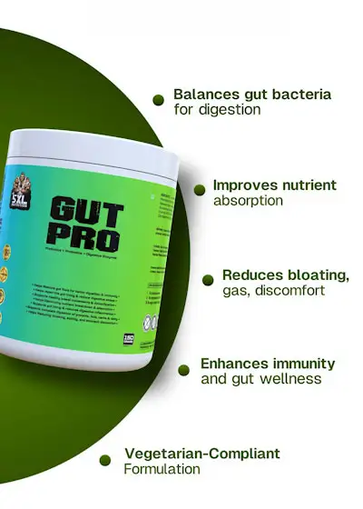 What Is the Best Supplement for Gut Health?